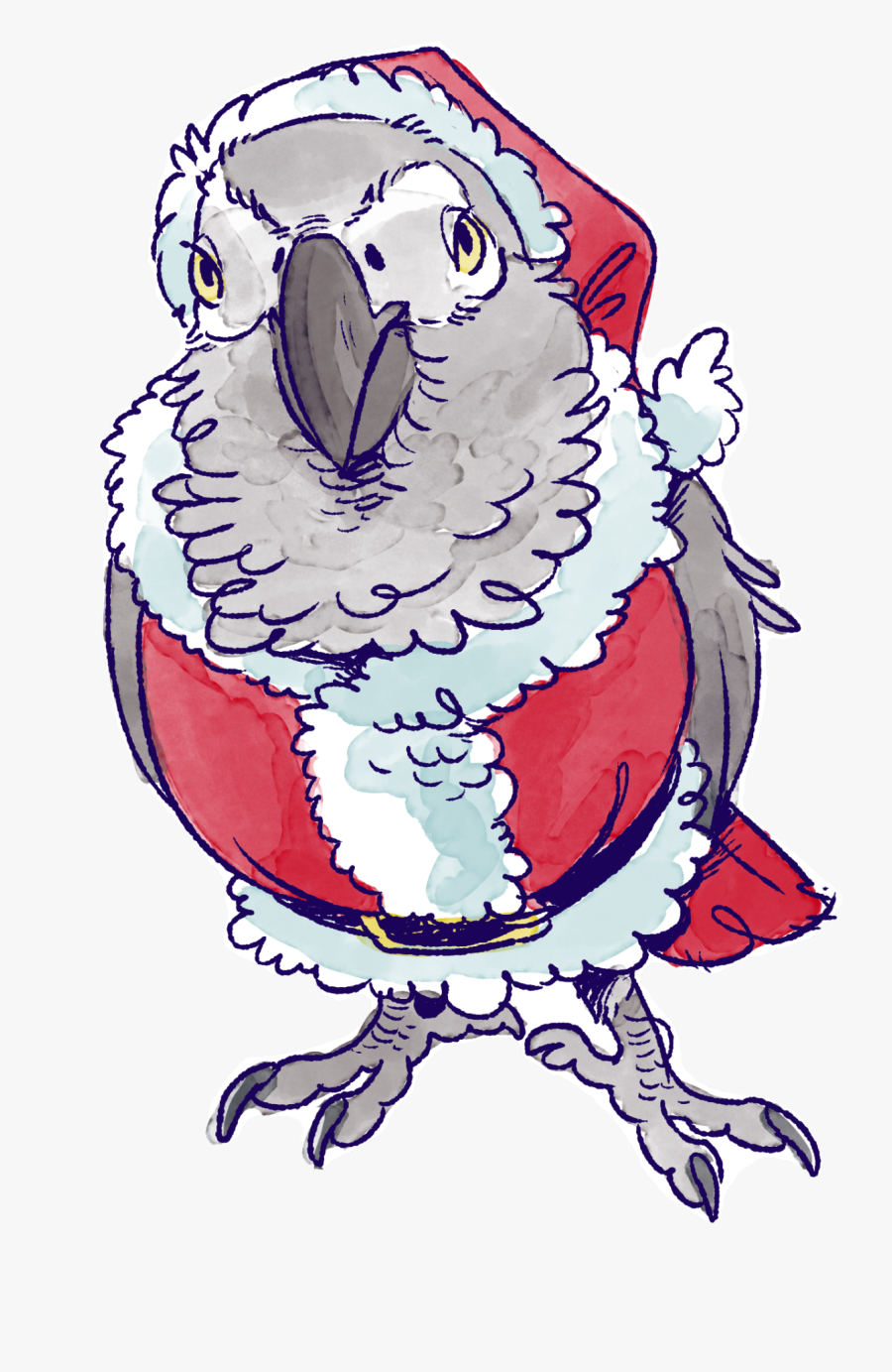 Image - Parrot, Transparent Clipart