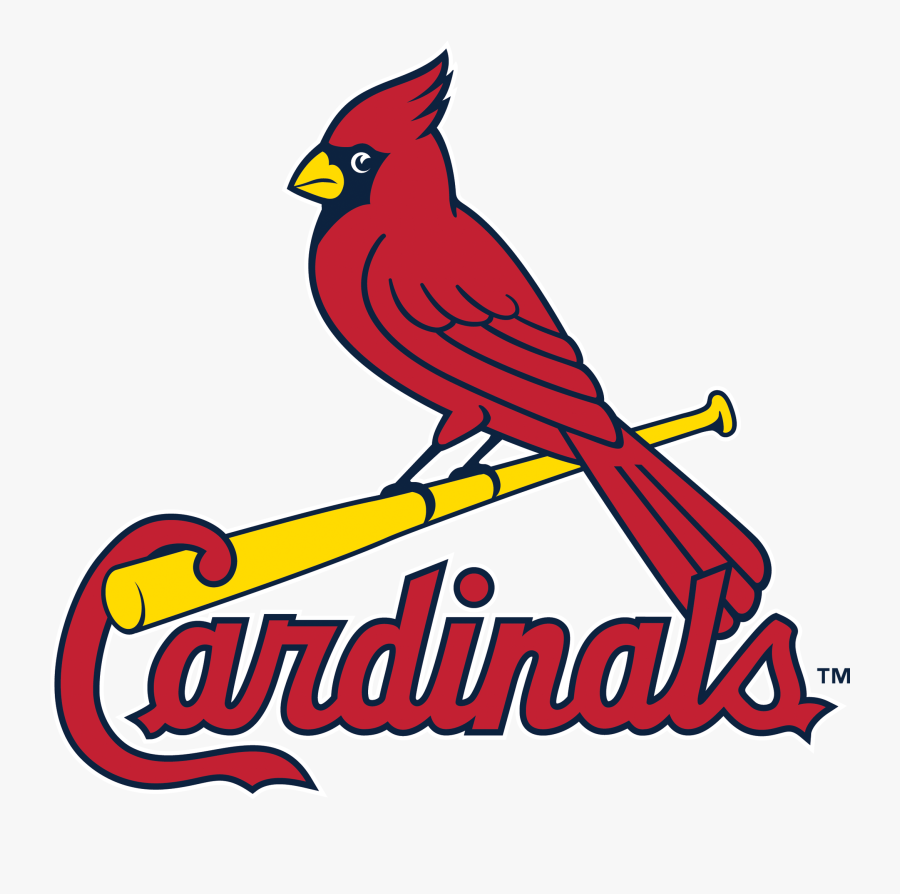 St Louis Cardinals Logo 2019 , Free Transparent Clipart ClipartKey