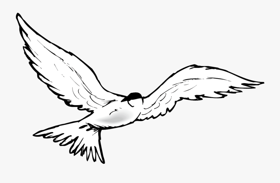 Flying Geese Clipart - Osprey, Transparent Clipart