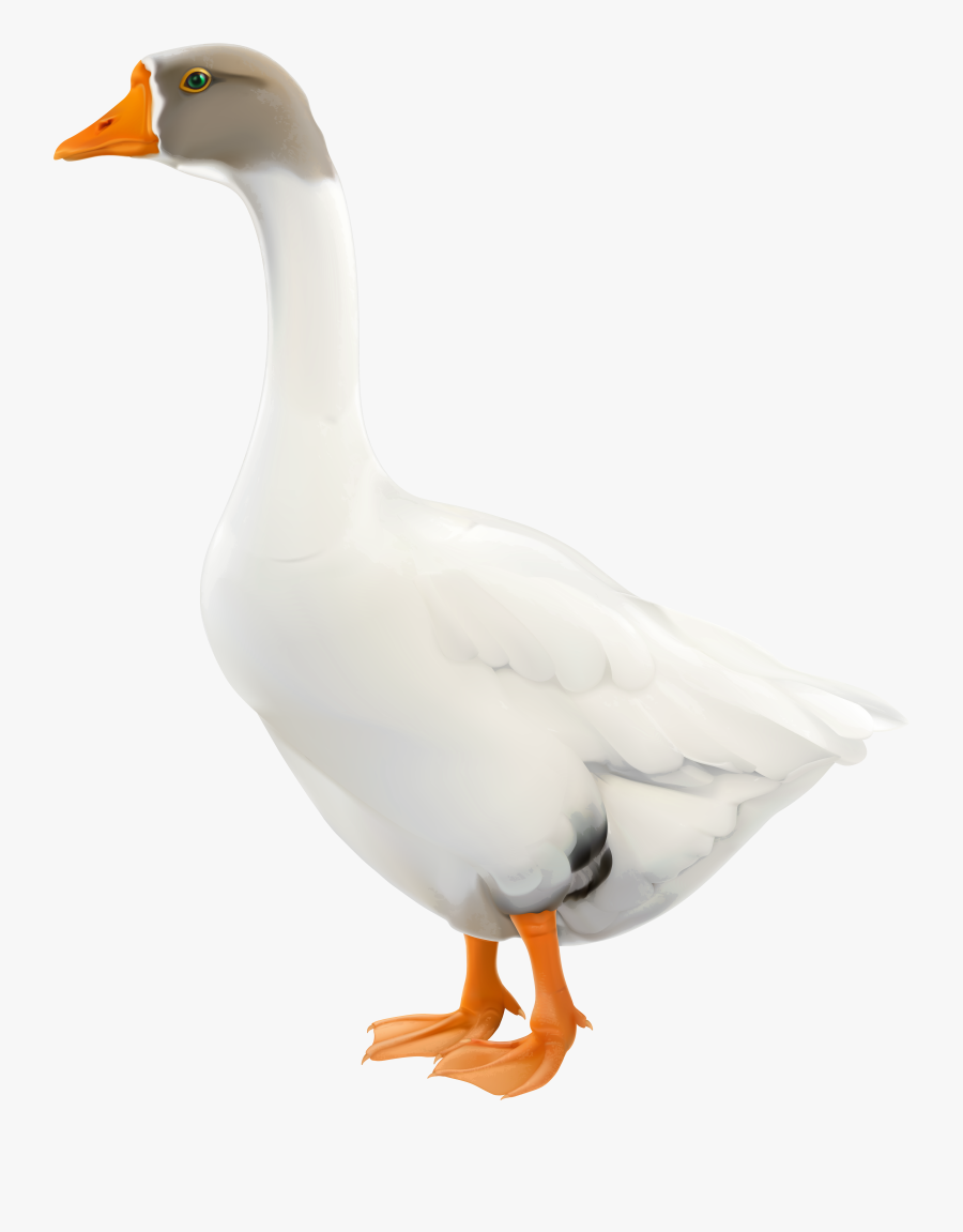 Goose Png Clip Art Image - Duck, Transparent Clipart