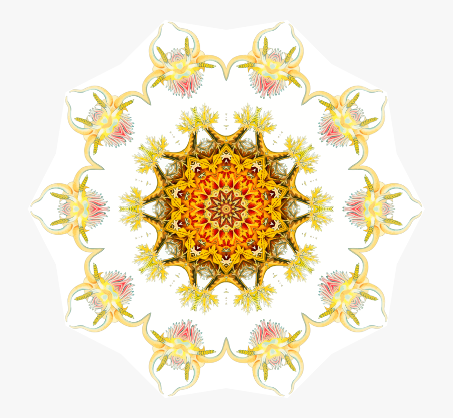 Flower,symmetry,yellow - Floral Design, Transparent Clipart