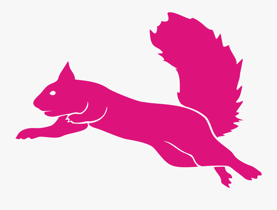 Flying Squirrel Guatemala - Flying Squirrel Trampoline Park Logo, Transparent Clipart