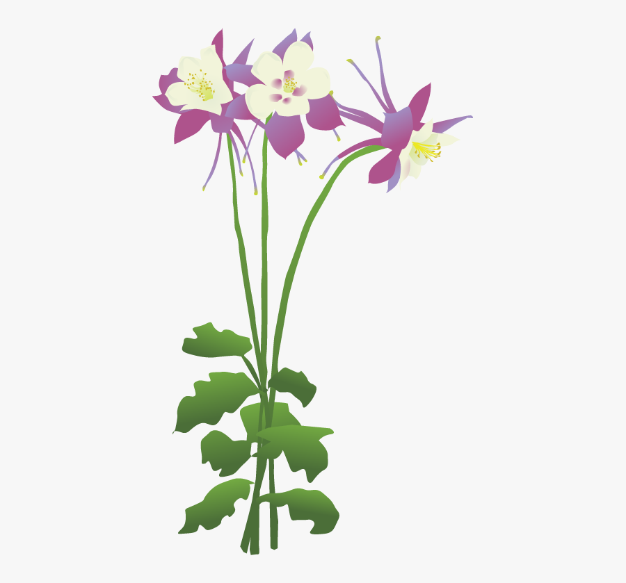 Columbine Flower Clipart Png, Transparent Clipart