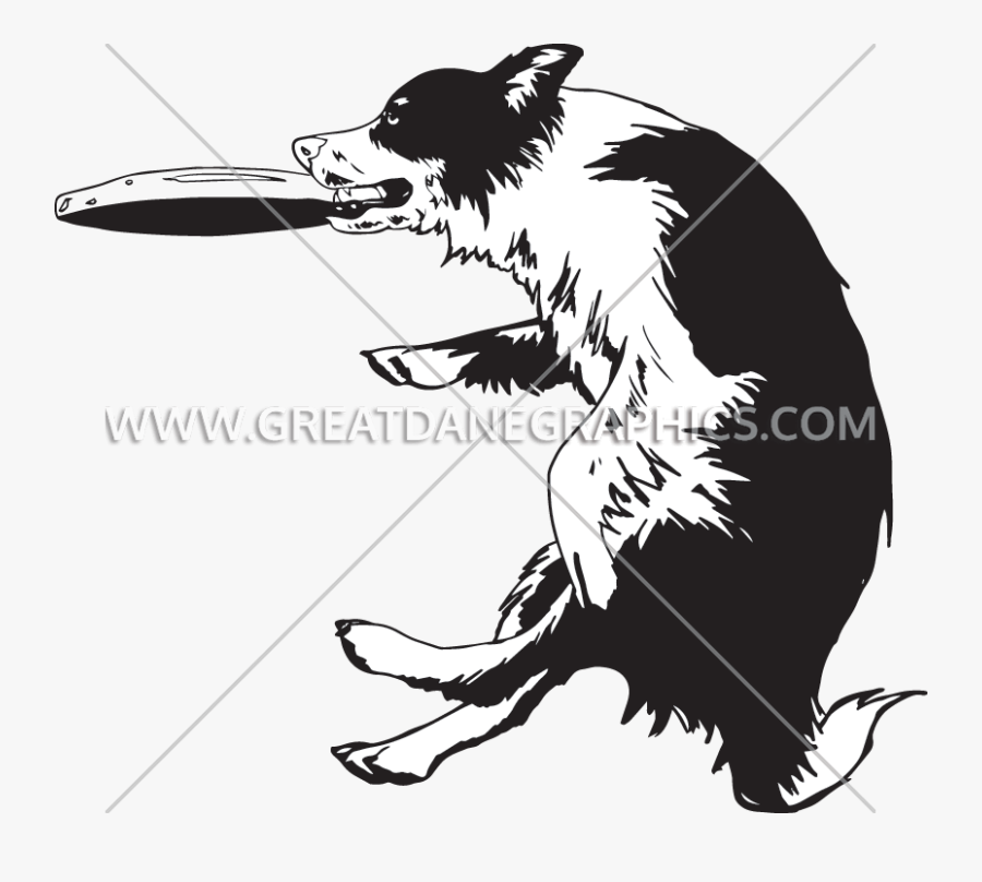Frisbee Vector Dog - Border Collie Playing Silhouette, Transparent Clipart