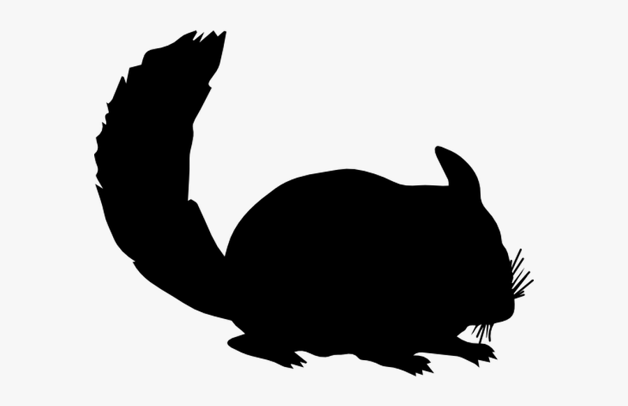 Chinchilla Silhouette Rodent Rex Rabbit - Chinchilla Icon, Transparent Clipart