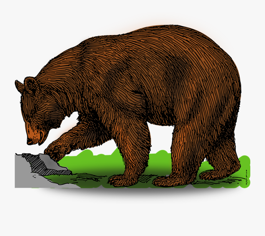 Bear Clipart Free, Transparent Clipart