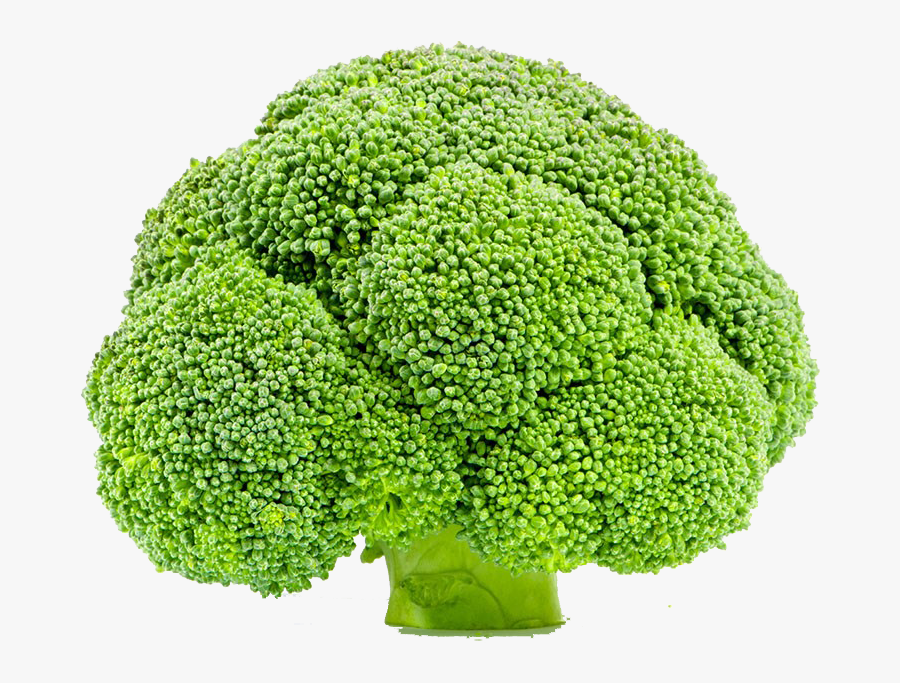 Broccoli Vegetable Cauliflower - Rz Batavia Green Invicta, Transparent Clipart