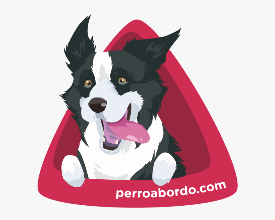 Frisbee Clipart Border Collie - Dog Catches Something, Transparent Clipart