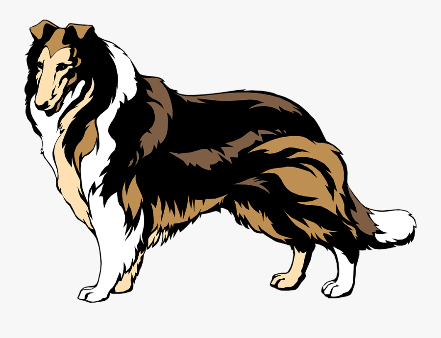 Clipart Collie, Transparent Clipart