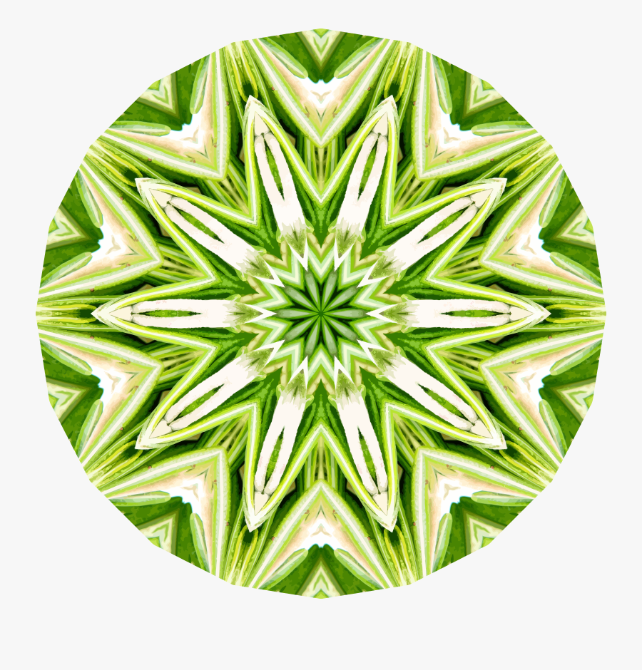 Rosemary Kaleidoscope 1 Clip Arts - Illustration, Transparent Clipart