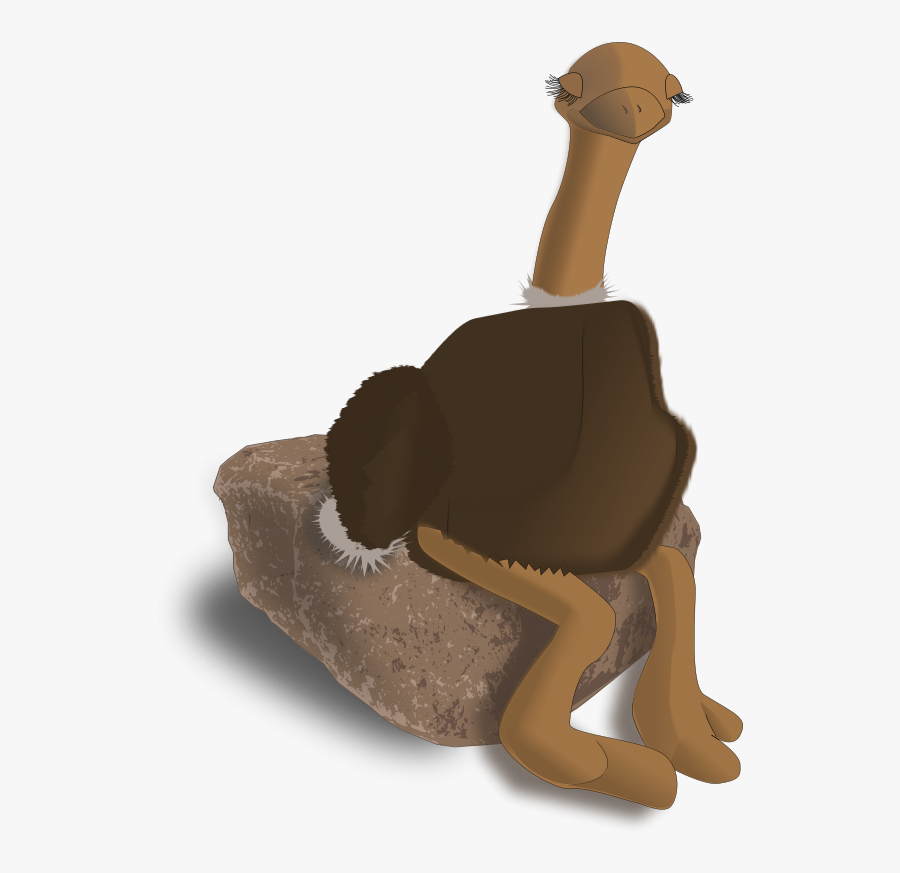 Ostrich - Common Ostrich, Transparent Clipart