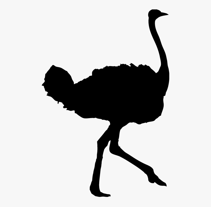 Transparent Ostrich Clipart - Ostrich Silhouette, Transparent Clipart