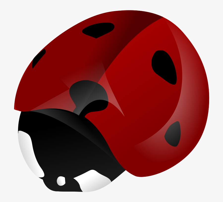 Helmet,bicycle Helmet,bicycle Clothing - Ladybird Beetle, Transparent Clipart