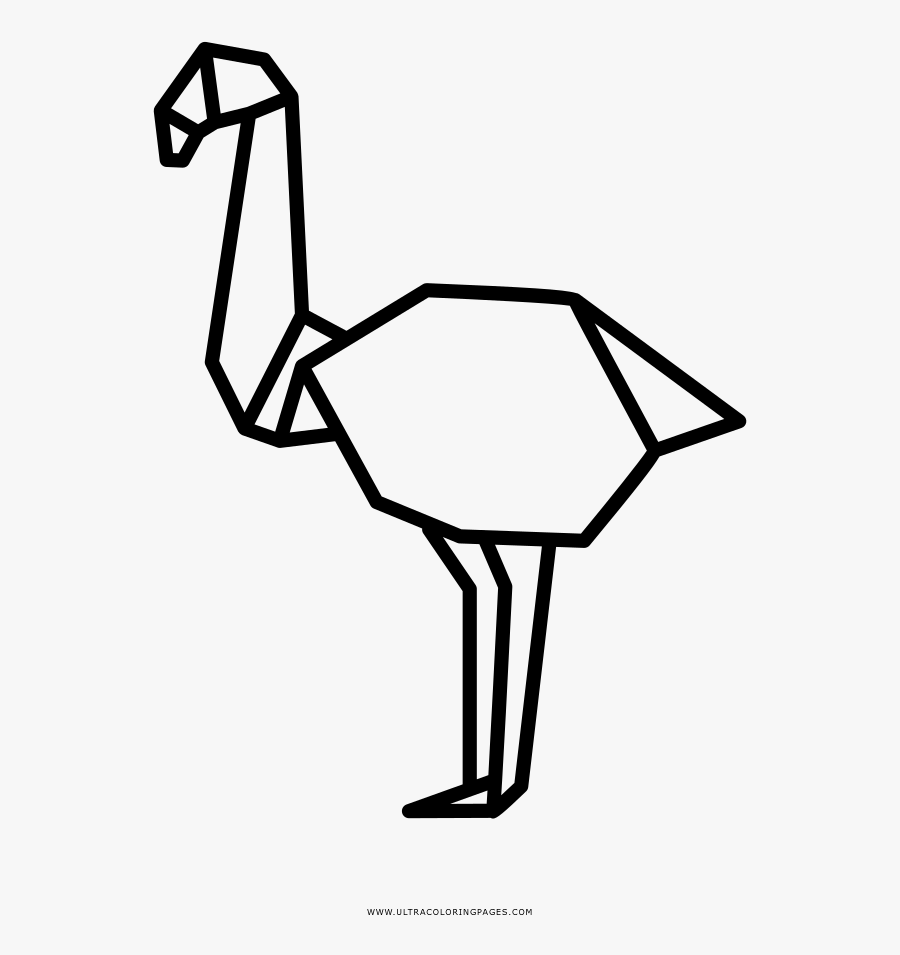 Collection Of Free Ostrich Drawing Coloring Download - Cartoon, Transparent Clipart