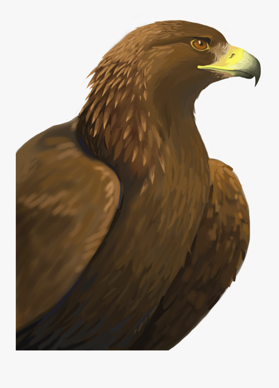 Golden Eagle Png - Golden Eagle Png Png , Free Transparent Clipart