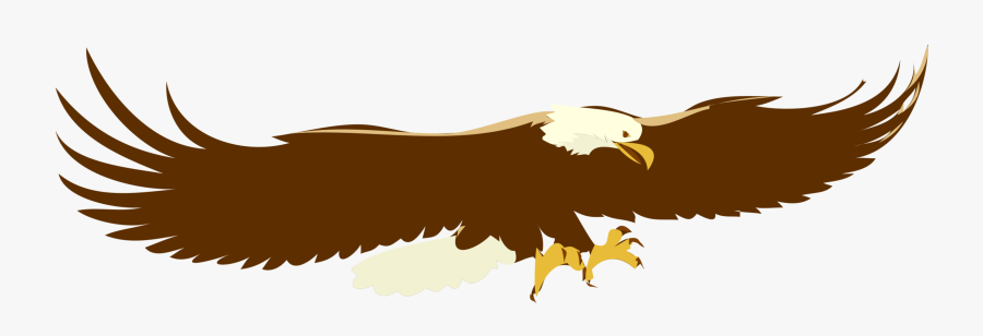 Eagle,wildlife,bald Eagle - Flying Eagle Clip Art, Transparent Clipart