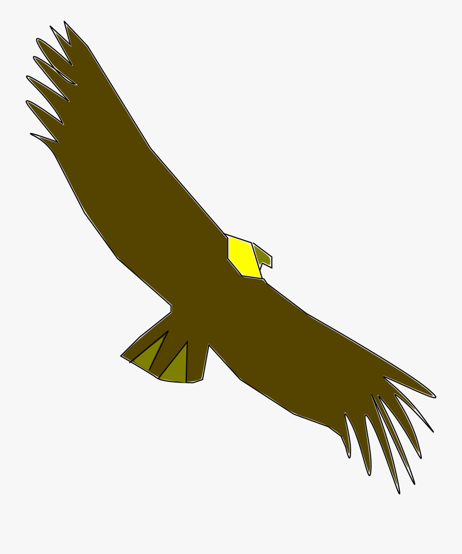 Condor Colombiano - Portable Network Graphics, Transparent Clipart