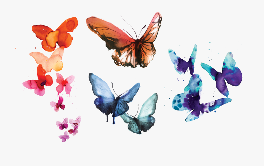 Watercolor Butterflies Set Stina Persson From Tattly - Butterfly Png, Transparent Clipart