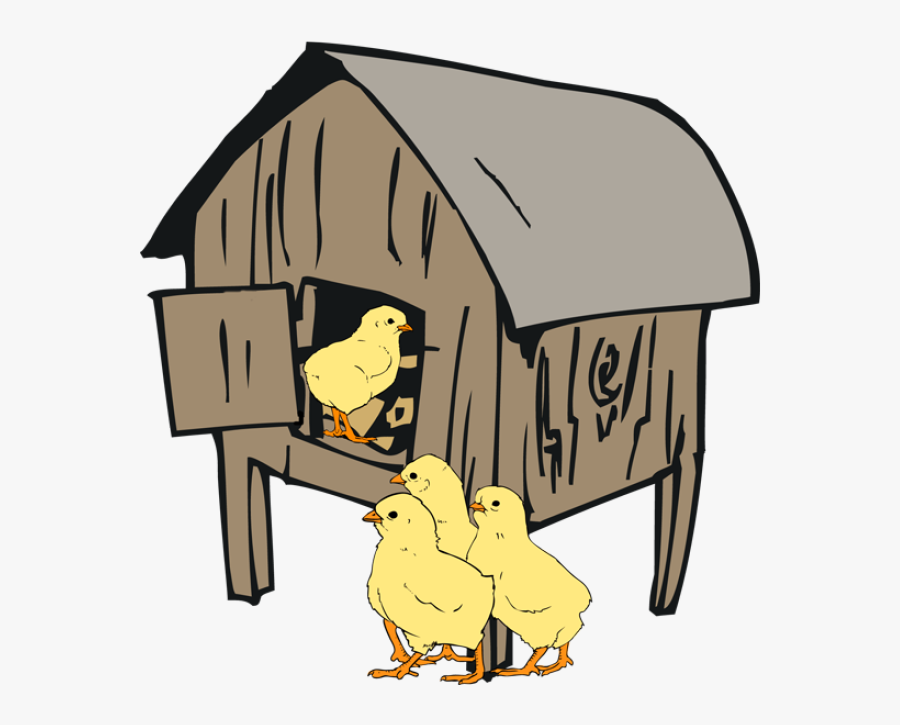 Collection Of Hen, Transparent Clipart