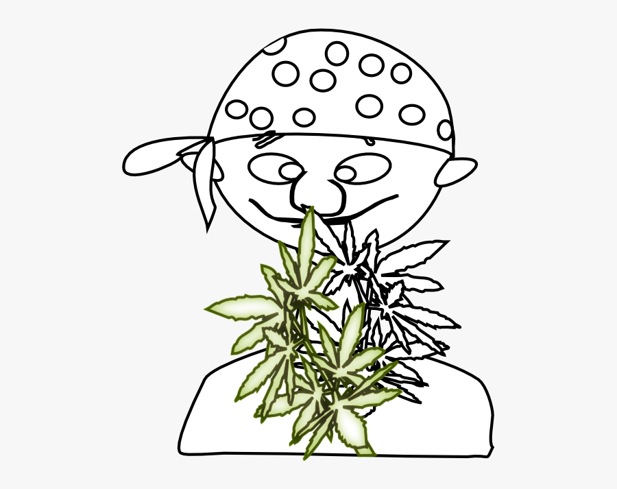 Herb Botanist Mj Black White Line Art 555px - Art, Transparent Clipart