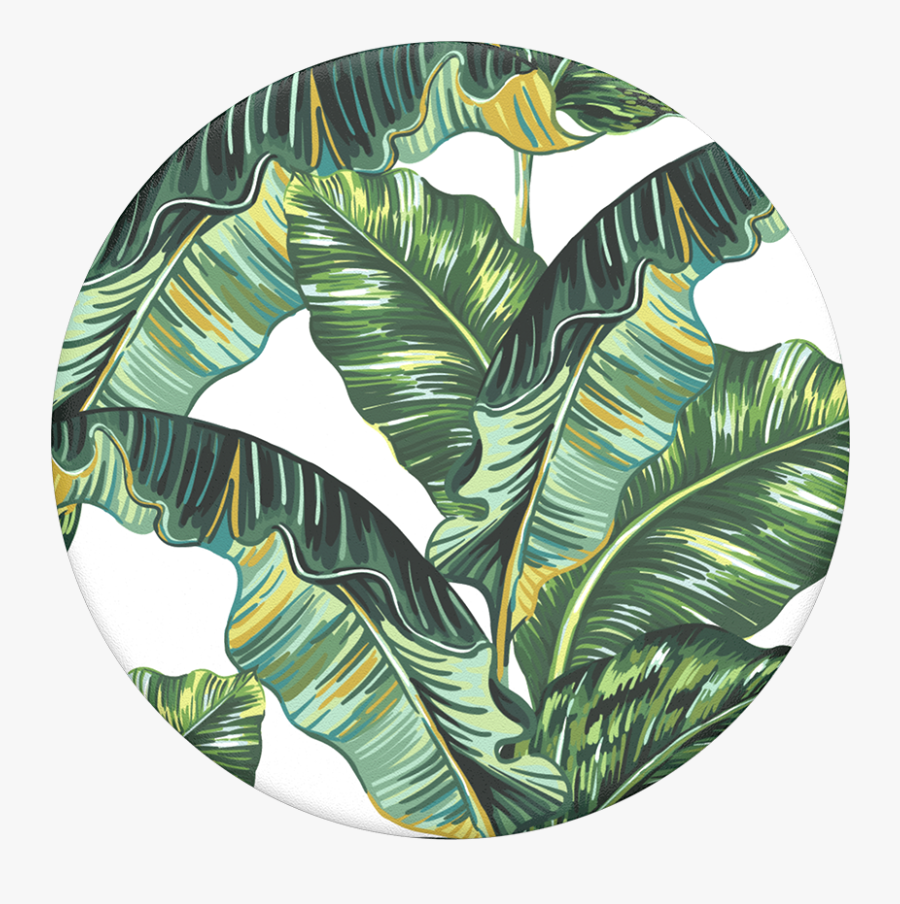 Banana Republican, Popsockets - Removable Wallpaper Banana Leaf Tropical, Transparent Clipart