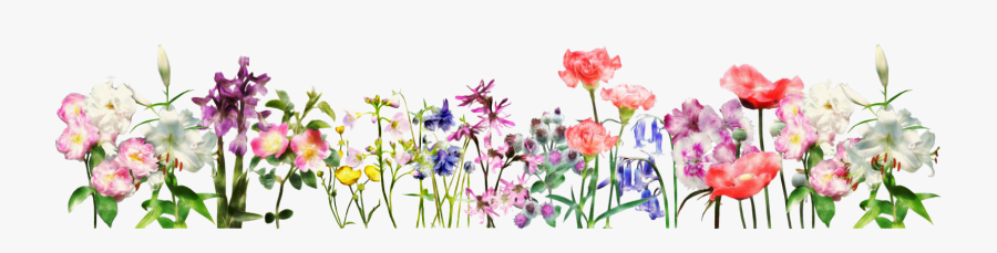Clip Art Flowers For A Banner - Iris, Transparent Clipart
