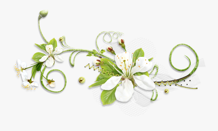 Sympathy Flower With Transparent Background , Free Transparent Clipart