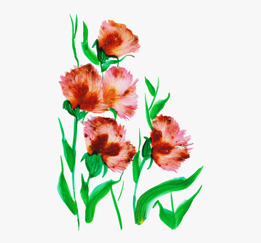 Hippeastrum, Transparent Clipart