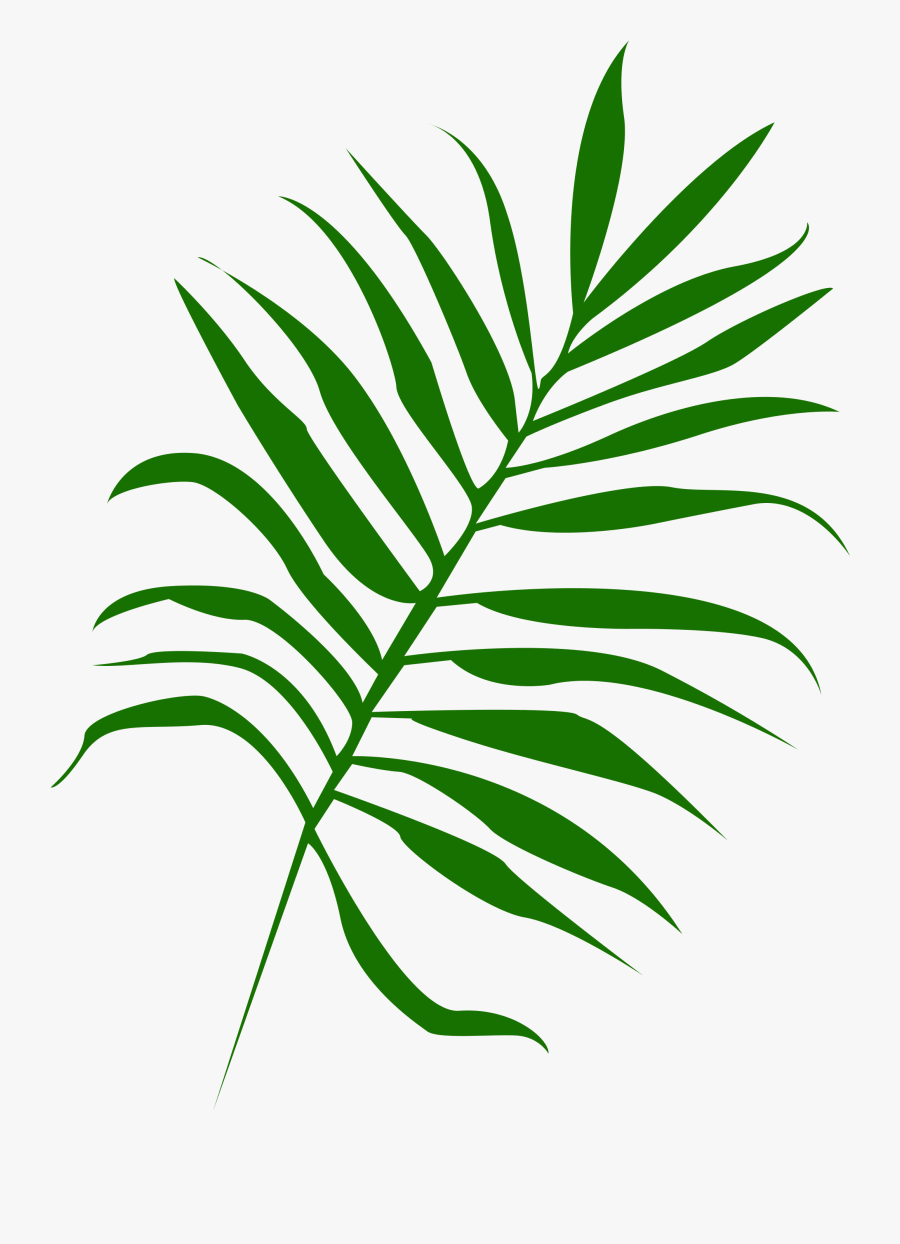 Palm Leaf Noun Project, Transparent Clipart