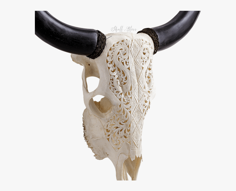 Carved Cow Skull // Xl Horns - Horn, Transparent Clipart