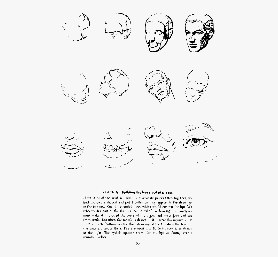 Andrew Loomis Drawing The Head And Hands - Drawing , Free Transparent ...