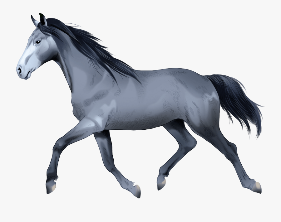 Stallion, Transparent Clipart