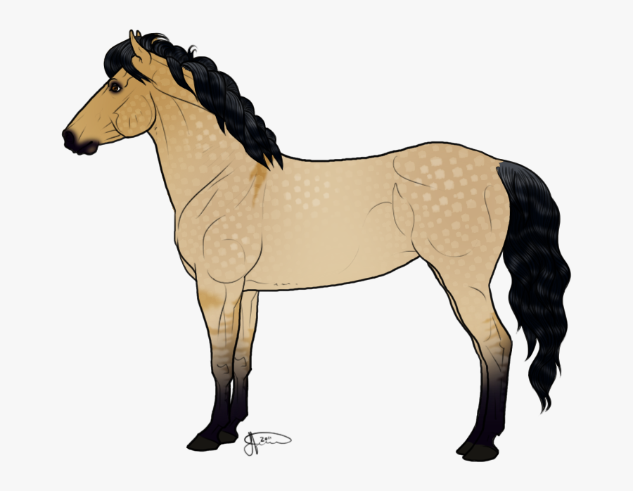 Icelandic Horse Foal Drawing Draft Horse Clip Art - Icelandic Horse Transparent Background, Transparent Clipart