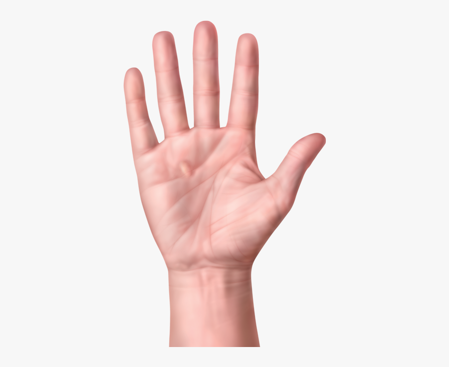One Hand With Nodules Or Lump In Palm Of Hand, Transparent Clipart