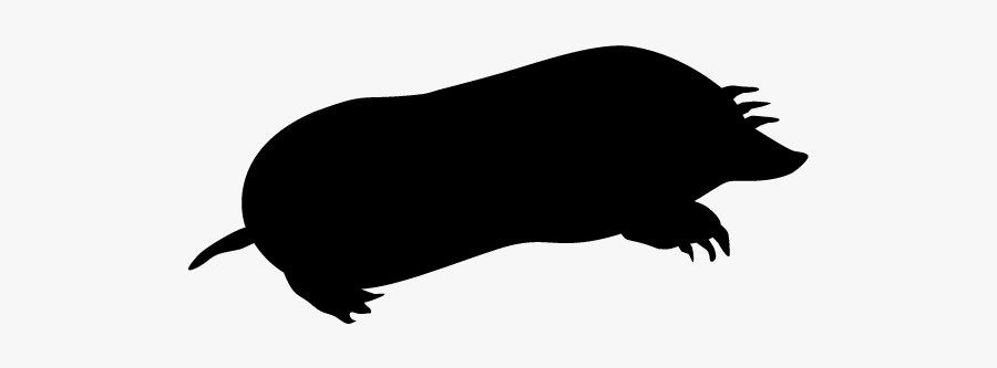 Mole Silhouette, Transparent Clipart