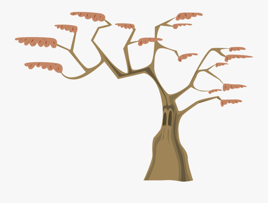 Tree, Branches, Trunk, Cartoon, Nature, Leaves - Arbol Con 12 Ramas, Transparent Clipart