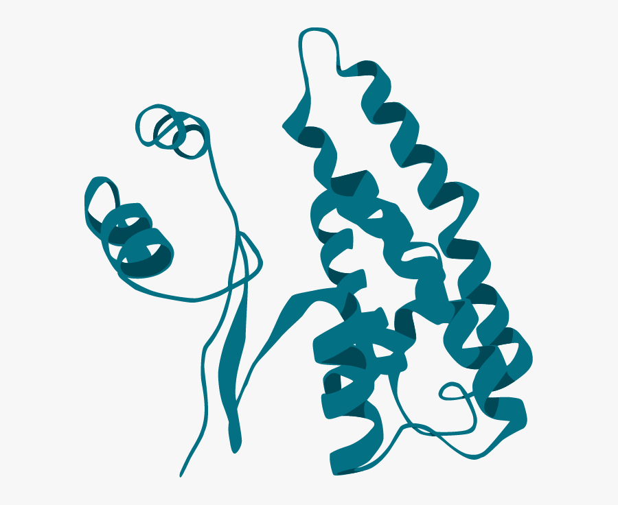 Protein Biomarkers - Protein Biomarker, Transparent Clipart