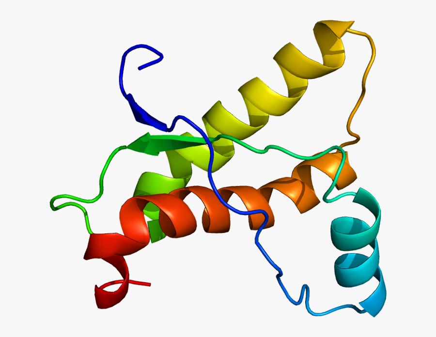 A Healthy Prion Protein - Protein Prion, Transparent Clipart