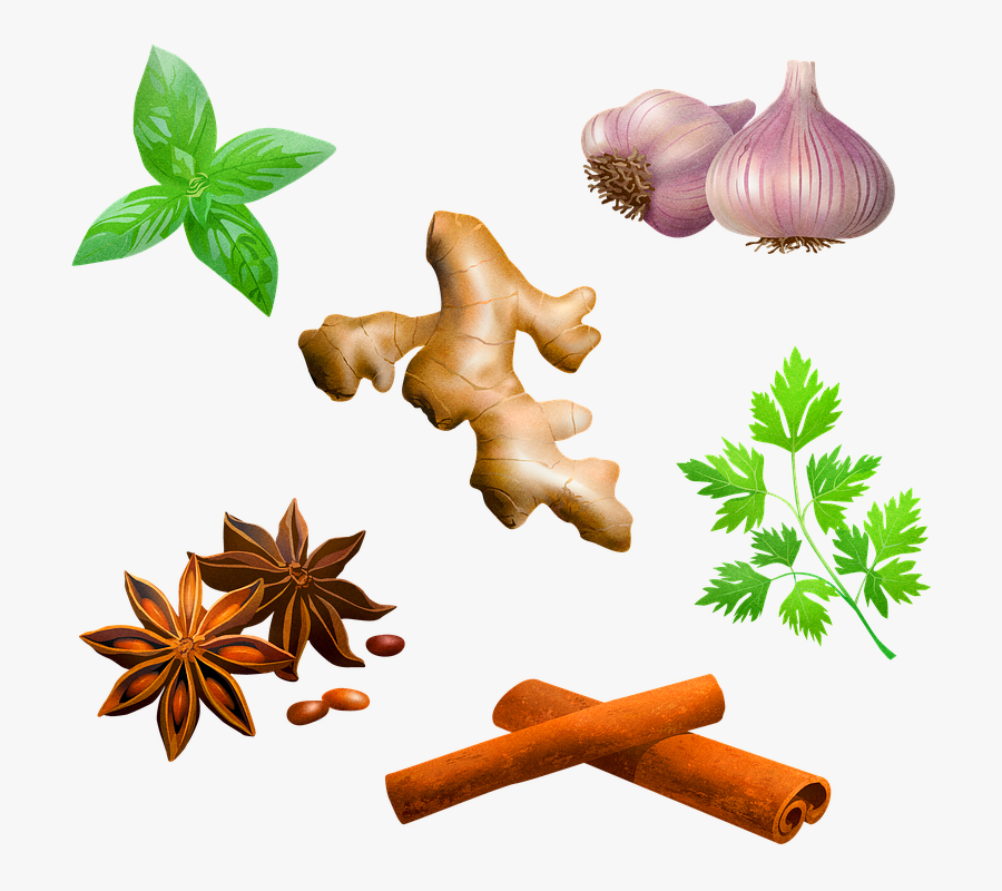 Spices, Garlic, Peppermint, Cinnamon, Food, Cooking - Gambar Rempah Rempah Kartun, Transparent Clipart