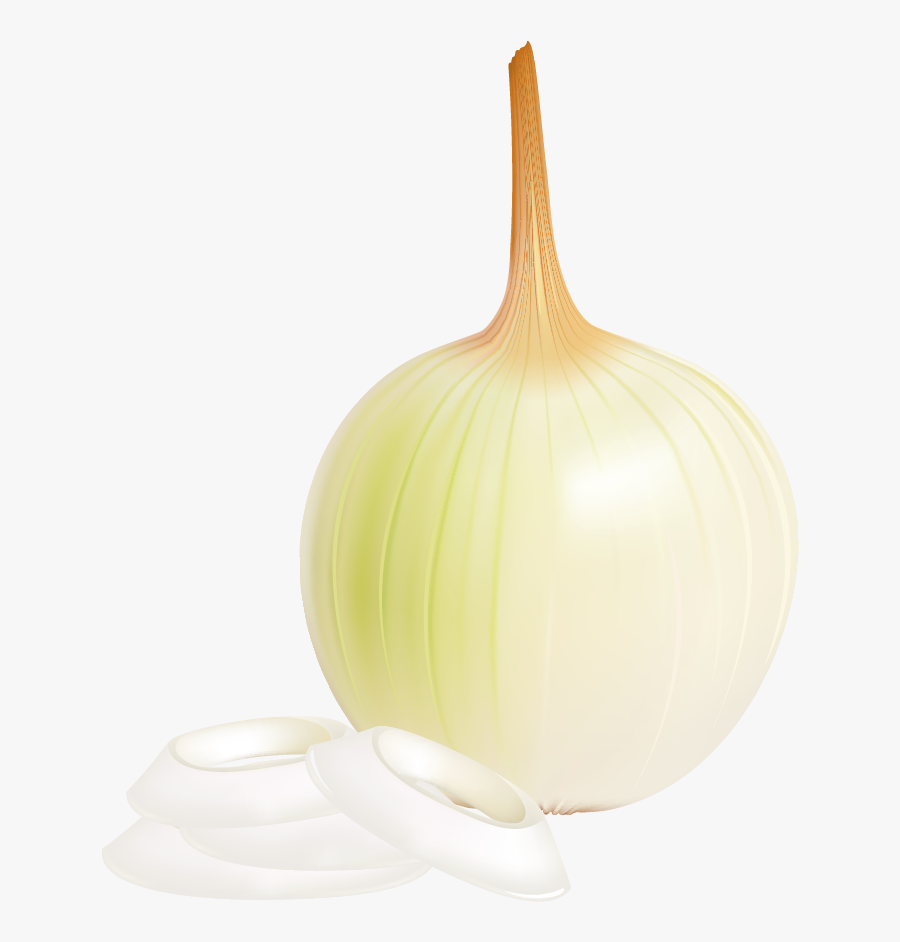 View Full Size - Elephant Garlic, Transparent Clipart