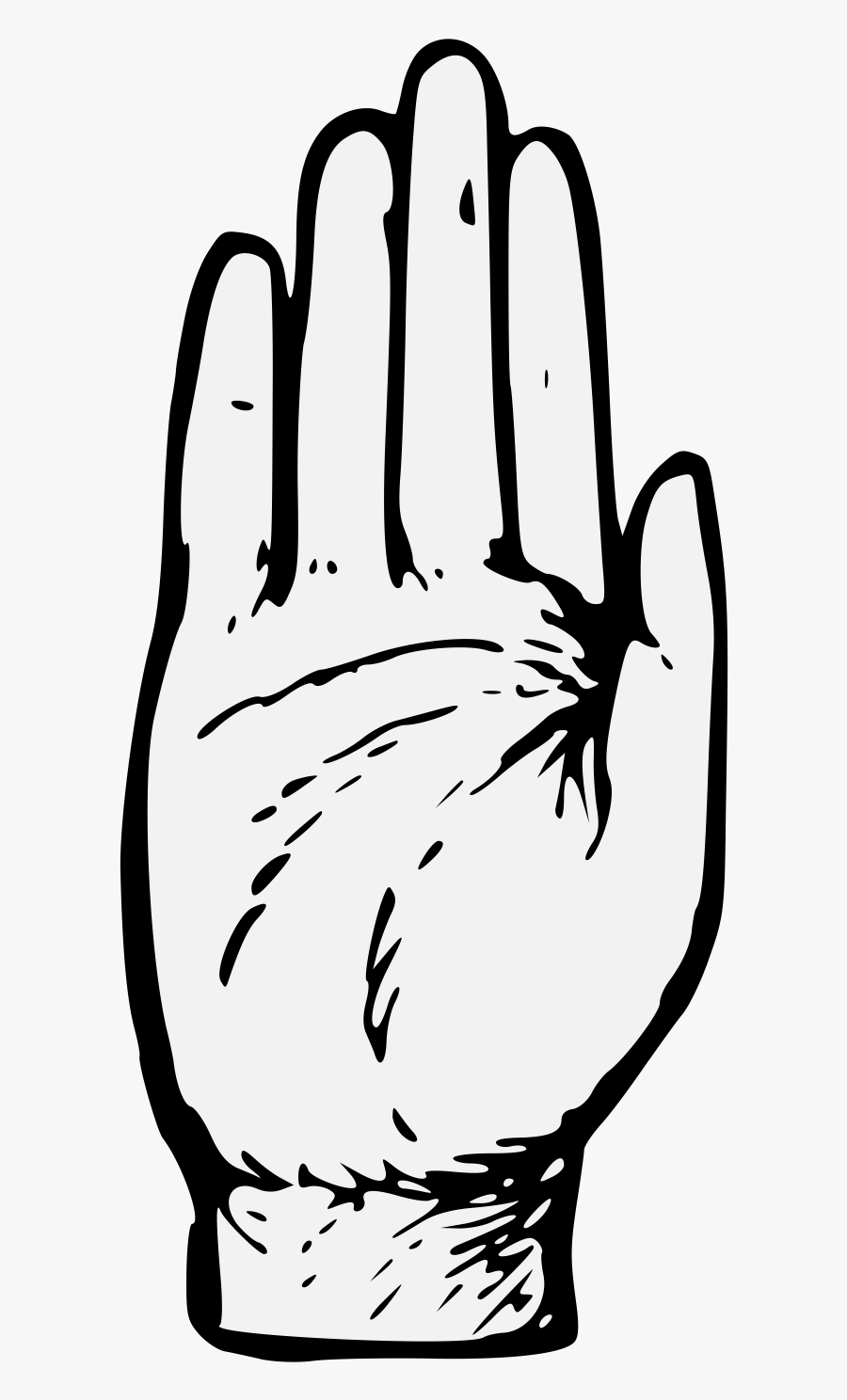 Heraldry Hand Png, Transparent Clipart