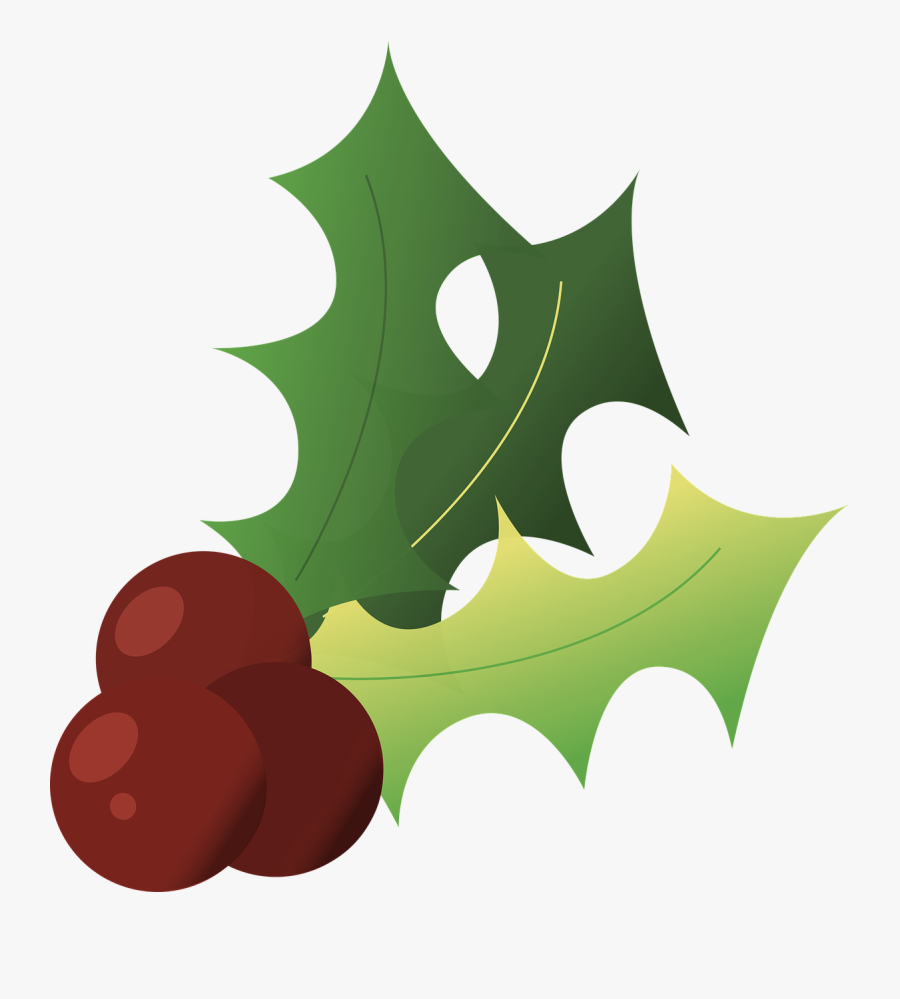 Holly Christmas Winter Free Picture - Christmas Holly, Transparent Clipart