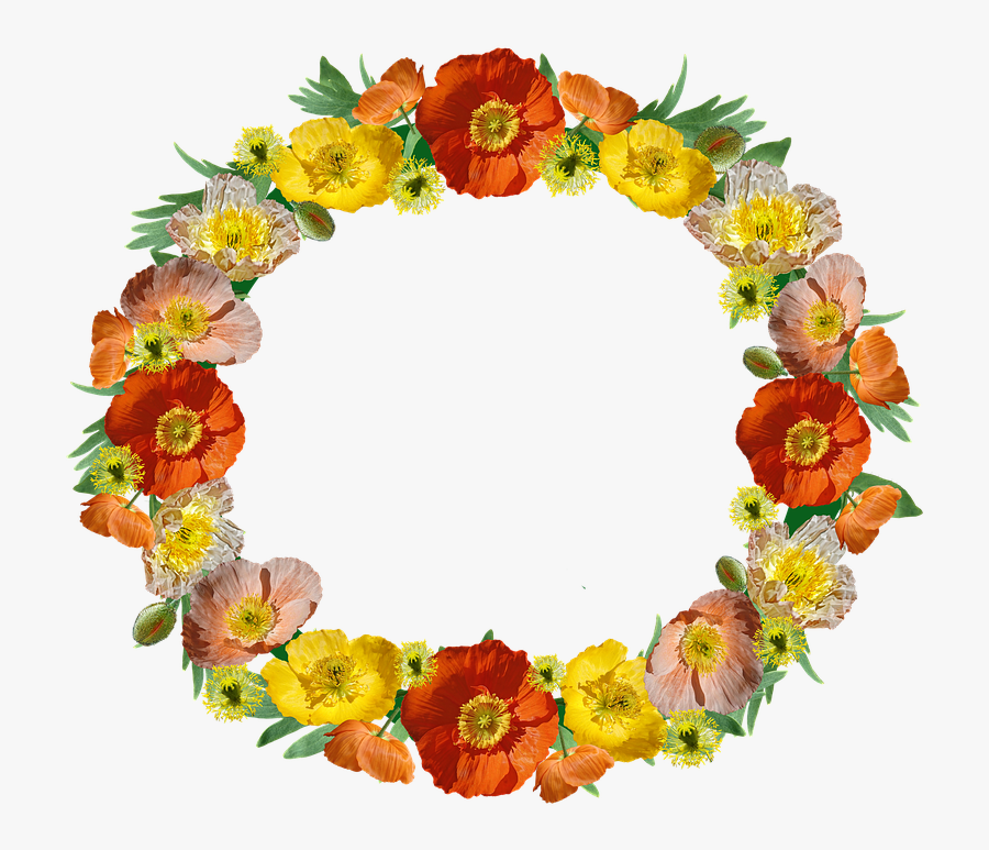Poppies, Flowers, Wreath, Border, Floral, Frame - 対人 運 アップ 待ち受け, Transparent Clipart