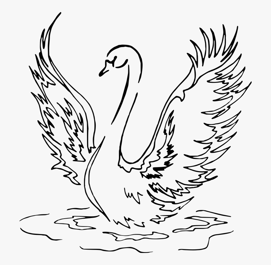 Landing Line Drawing Vector - Swan Drawing Png, Transparent Clipart