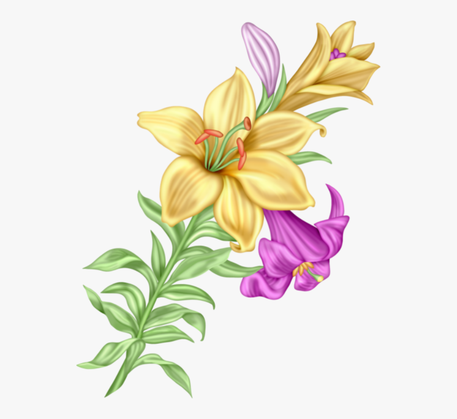 Gladiolus, Flower Art, Art Flowers, Flower Power, Hibiscus, - Flower, Transparent Clipart