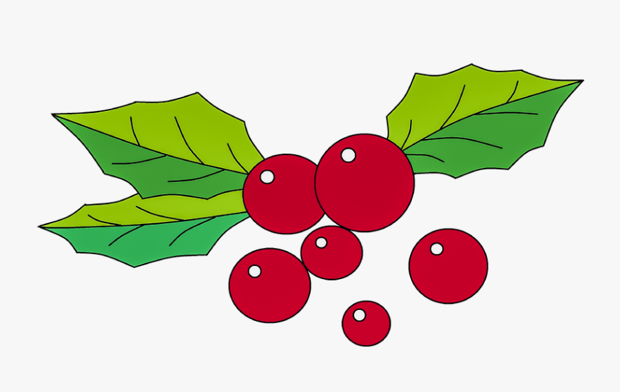 Christmas, Holly, Decoration, Red, Berries, Festive - Seedless Fruit, Transparent Clipart