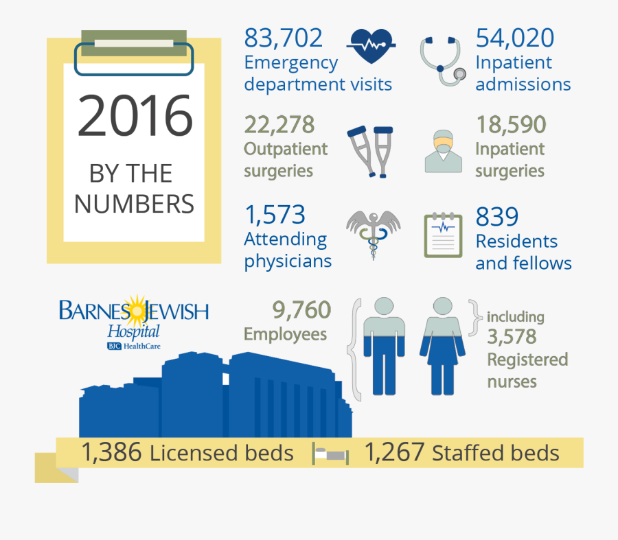 Clip Art Infographic Annual Report - Hospital Annual Giving Infographic, Transparent Clipart