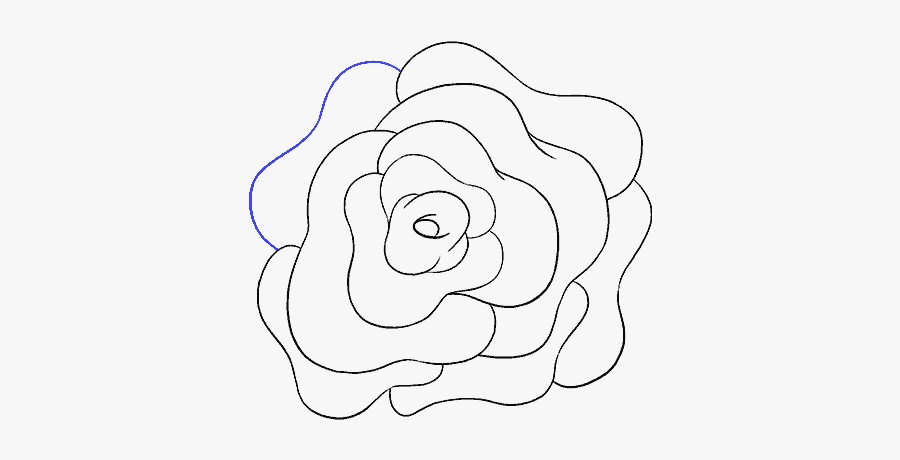 How To Draw A Rose Flower Easy Drawing Guides - Rose Flower Transparent Draw, Transparent Clipart