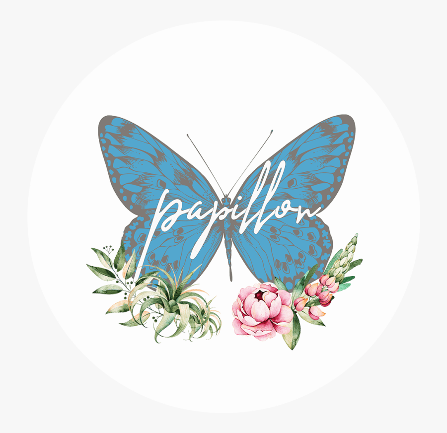 Santa Rosa, Ca Florist - Papillon, Transparent Clipart