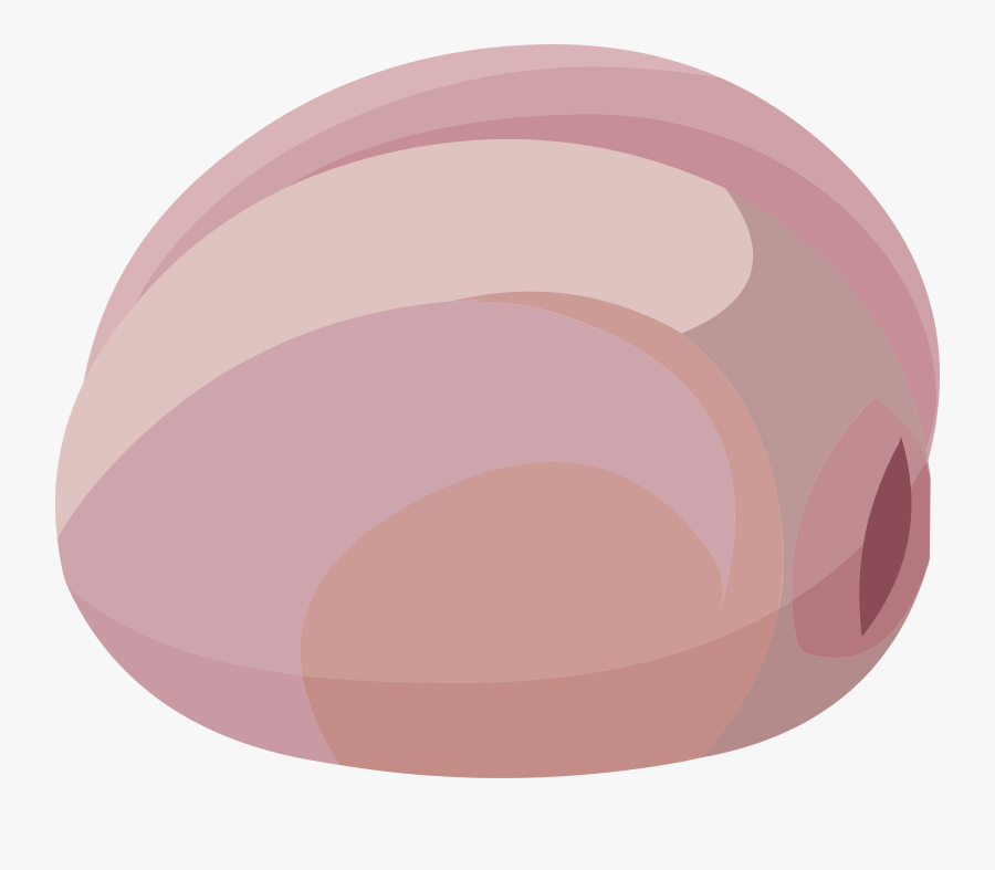 Pink,circle,material Property - Sea Stones Clip Art, Transparent Clipart